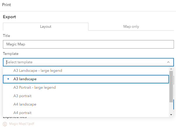 Print Layout Options